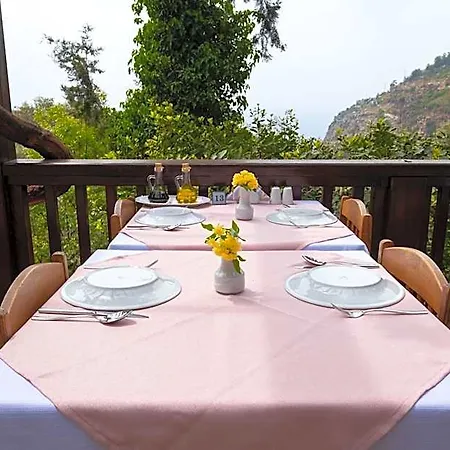 Ξενοδοχείο Watermill Hotel Φετιγιέ